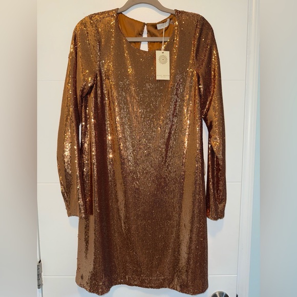 NWT RAMY BROOK HALLIE BEADED DRESS COPPER Small
Sequin - Picture 4 of 7